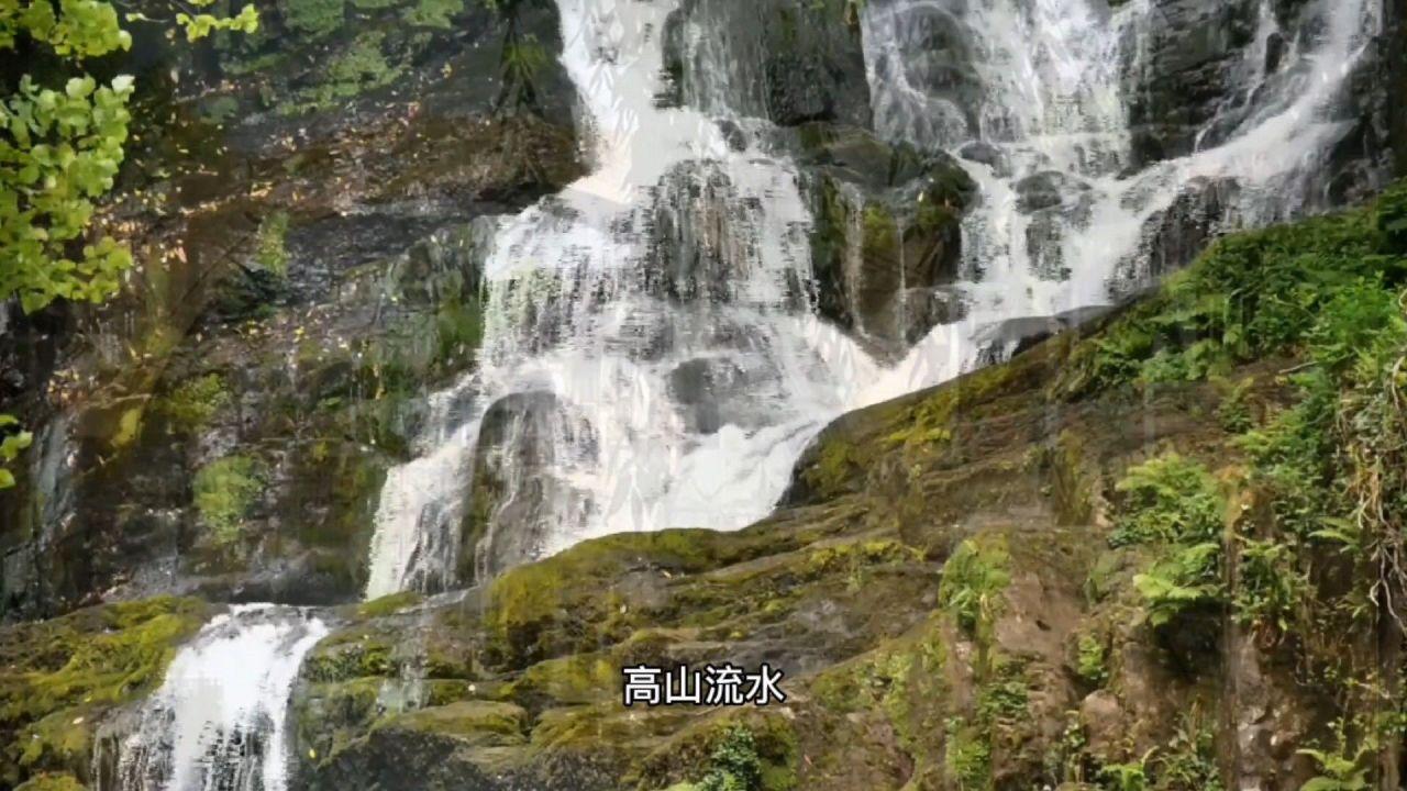 燃烧吧大脑免广告最新版